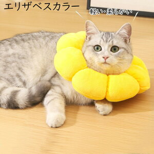 GUxXJ[ Lp p \tg 炩 Ȏ y p _炩 wXPA ی rߖh~ ޖh~ pEFA K \ ی rߖh~ ~h~  Ԃт 