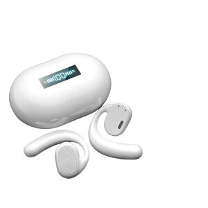 2024NŐVf`Cz CXCz Bluetooth5.0 u[gD[X R[hXCz Rh  Ў X|[c y nYt[ ҋ@