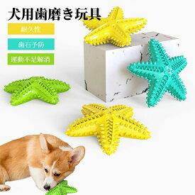 歯磨き 玩具 犬歯磨き 運動不足解消 おもちゃ 犬噛むおもちゃ ヒトデ 歯ブラシ 音が鳴る 知育玩具 安全 歯のクリーニング 犬 歯ぎ清潔 歯石予防 ストレス解消 犬歯ブラシ 噛む 訓練玩具 ペットおもちゃ 耐久性 安全 犬用おもちゃ 口臭予防