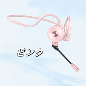 CXCz ` wbhz Bluetooth5.0 ɓȂ  Cz ʘbp }CNt IP56h mCYLZO y Hi-Fi  | Cz e[