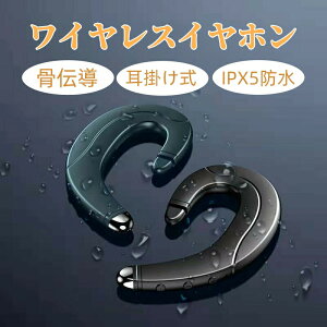 ���C�����X �C���z�� Bluetooth 5.0 �i���� ���`�� �݌v ���� ������ �V�f�B�U�C�� ���l�C���i ������ �����y�A�����O iPhone��Android�Ή� �����Ԏg����