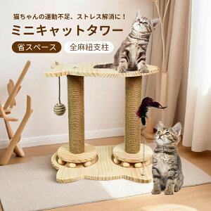 ~jLbg^[ u L^[ ybgpi ȃXy[X SRx ܂Ƃ ܂Ƃ lR^ XgX lR qL Vѓ