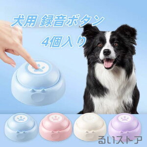 yyVXpZꃋzp ^{^ 4 {^ x R~jP[V g[jO P ybg m   L p ^{^