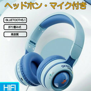 }CNt 6F CX qp lp Bluetooth5.1 L wbhtH Cz I[o[C[