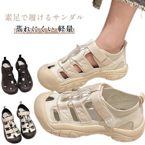 Xj[J[ Xj[J[T_ y T_ fB[X  Xj[J[ ʋC X|[cT_ X|T ɂ ~ JWA 񂾂 T_ fB[X ̎q T