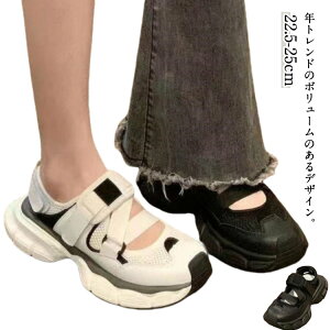 ₷ Xj[J[T_ fB[X  X|[cT_ L X|T Xj[J[ RtH[gT_  Ȃ T_ Xgbvt  r[`T_ 