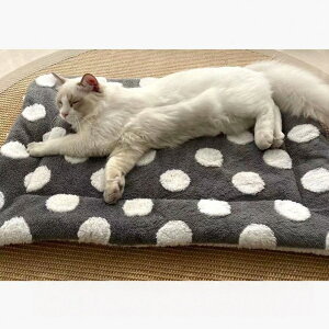 ybgp uPbg ѕz L }bg ^I NbV \tg ӂӂ g H~̖h ۉ 􂦂 h}bg  ԓ  P[W