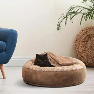 ybgnEX h[^ ybgxbh H~p xbh Lxbh ybgQ NbV ybg}bg ~ ӂӂ 薰 Lp ΍