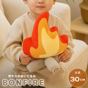 ylCiz ʂ  30cm  NbV 킢 j[N `[~O    a LO NX}X Mtg TvCY v[g 蕨 ̎q j