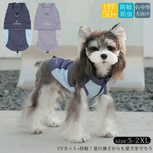 O΍ UVJbg UPF50+ AEghA   t  bVK[h h Oh~ ^Ngbv h 悯 ^ ^ N[ N[EFA cool  ⊴  ĕ ėp hbOEG