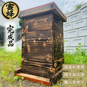 y萙ށIi6_Zbgz jz~co` d 3i Y Ăς 살炵ς t |p o yt   {I h~NXdl n` ~c