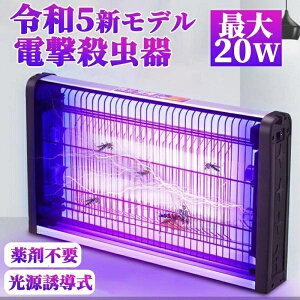dE  E O  20W ȃGl   E RoG Cg @ U铔 悯 UVzE  U