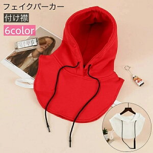 t  t[ht tFCNp[J[ fB[X  t[hR tFCNC[h d˒ JWA Vv  킢