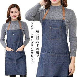 yzh  ϐ  t[TCY JWAȖnGv 񂩂  n Ǝ Y fB[X pGv