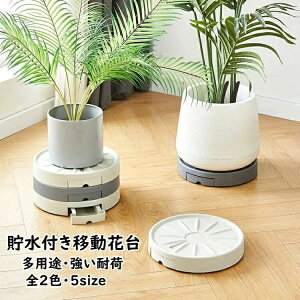 yz360° v[g g[ v^[pM LX^[ u t[X^h u  tړԑ Aؔ