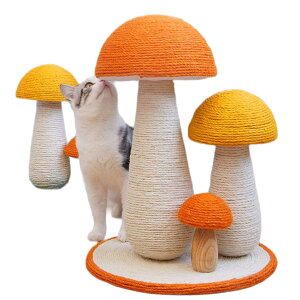 Lpi L܂Ƃ|[ ̂  Lp c^ 40/50cm ܌|[ cat tower O ˂ ȃXy[X ~j Lbg܂Ƃ|[ VRR CeA  Ki L߂Ƃ L̗V