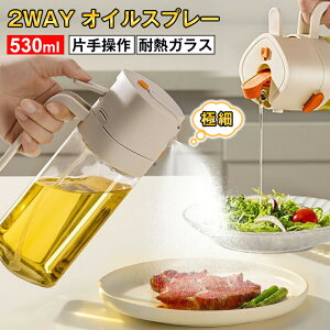 ICXv[ 2WAY^Cv 530ml ɍז {g Ў葀 Ȗ KX Lb`c[ IC Rh~ th~ e I[uIC T_ mtC[p p I