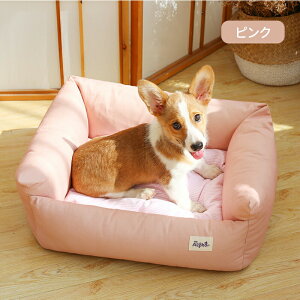 yBFCP100~`2000~OFF×P5{zybgxbh ybg}bg 􂦂 Lp ybgNbV ̂ 킢 Rbg Jo[O ӂӂ  QSnǂ G芴ǂ ӂ