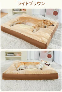 yBFCP100~`2000~OFF×P5{zybgxbh ybgNbV  􂦂 Lp ybgNbV 킢 ӂӂ  tl 炩 QSnǂ G芴ǂ ӂ肠