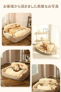 yBFCP100~`2000~OFF×P5{zybgxbh ybg}bg Ɍ ̂ {悹 􂦂 Lp ybgNbV 킢 ӂӂ  QSnǂ G芴ǂ ӂ肠