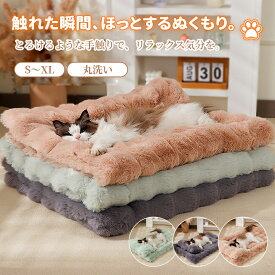 【マラソン★まとめ買いで11%OFF／最大30%OFF】ペットクッション 丸洗い ファー風 冬 ペットベッド ペットマット 滑らか ふんわり あったか 暖かい かわいい 猫クッション 犬クッション 猫ベッド 犬ベッド ペット マット ふわふわ 柔らかい 枕付き 滑り止め 洗える 多頭飼い