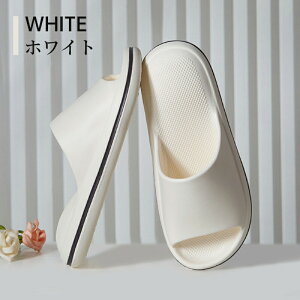 yBFCPő2000~OFF×P5{zo[Xbp oXXbp T_   OJ O y y ~ Y fB[X jp x_ gC  W V[