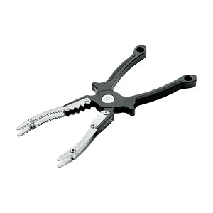 ܂@P A~tBbVObv 22cm LE127