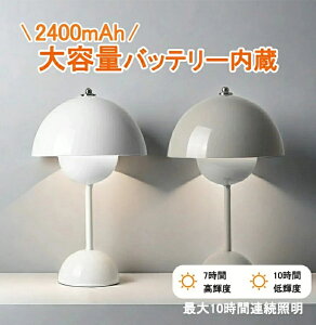 y2Nۏ؁ze[uv k R[hX t[|bg e[uCg   v F ^b`ZT[ ^b`Cg X^hCg ԐڏƖ led  Q C