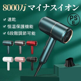 ドライヤー 速乾 大風量 おしゃれ T型 軽量 ヘアドライヤー 理髪店 家庭 業務用 美髮 ヘアケア ツヤ髪 風量3段調節 冷熱風 恒温 過熱保護 1200W 高速ドライヤー