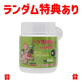 【リニューアル】ハタ乳酸菌 FOR PETS（犬・猫用）60g