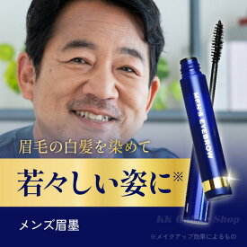 ビナ薬粧 メンズ 眉墨 ブラック