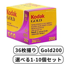 Kodak コダック ゴールド Gold200 - 135 - 36枚撮 カラー ネガ ネガフィルム フィルム カメラ ISO200 デイライト 6033997