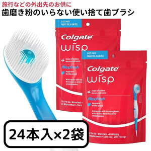 RQ[g |[^u~juV ĝ sp t uV EBXv 24{ 2܃Zbg Colgate Wisp Portable Mini Brush