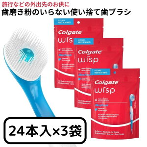 y9/20聚Gg[2l1lSz|CgobNz RQ[g |[^u~juV ĝ sp t uV EBXv 24{ 3܃Zbg Colgate Wisp Portable Mini Brush