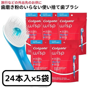 y9/20聚Gg[2l1lSz|CgobNz RQ[g |[^u~juV ĝ sp t uV EBXv 24{ 5܃Zbg Colgate Wisp Portable Mini Brush