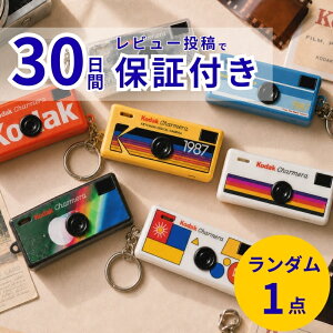 KODAK CHARMERA �L�[�`�F�[�� �f�W�^���J���� �R�_�b�N �`���[���� �u���C���h�{�b�N�X �����_���J���[ RK0601