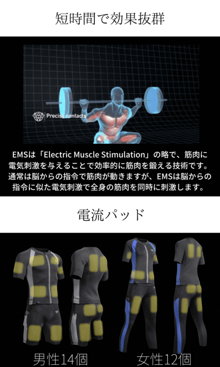 楽天市場】家庭用EMSスーツ WisenFit EMSウェア 腹筋ベルト