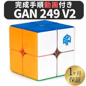 2024N GANCUBE GAN 249 v2 XebJ[X gan249 2x2 Xs[hL[u ~jL[u 2x2x2 [rbNL[u KL[u