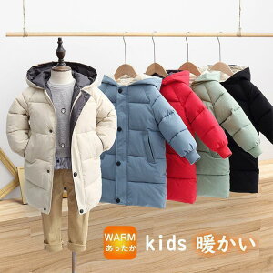 _ER[g q _EWPbg H~ LbY AE^[ O n ؍ t[h y h h gWjAʊw AE^[