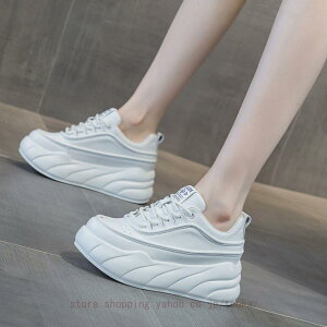 Xm[u[c fB[X 傫TCY h h Xm[V[Y  Ȃ hC H~p AEghA  V ʋ ʊw C ₷