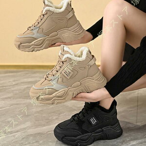 fB[X Xm[V[Y hC N H~ ItBX 傫TCY JWA ʋ ʊw ₷ ꂢ [Nu[c   Xj[J[ {A