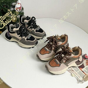 Xj[J[ fB[X Xm[V[Y {A N g h ~p ~ ۉ 30 40 50 ~C C AEghA hC  EH[LO