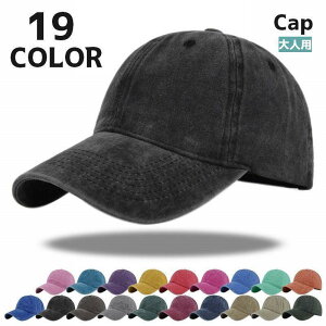 Lbv Xq x[X{[Lbv 싅X lp fB[X Y  j Εt TCY Vv JWA O΍ 悯