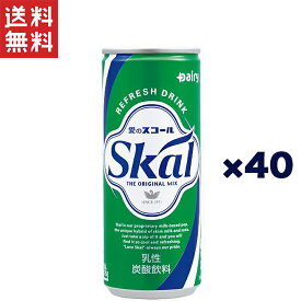 南日本酪農協同 デーリィ スコール 缶 250ml×40本(2CS)