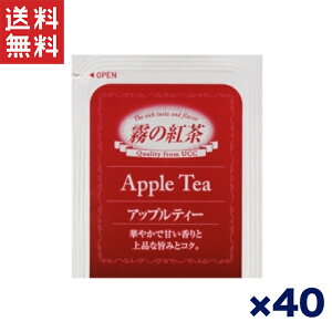  TςN[|zz!!yAEgbgpzUCC ̍g AbveB[ eB[obO 40 ؂₩ȊÂƏiȎ|݂\