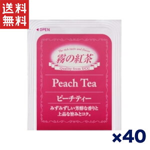  TςN[|zz!!yAEgbgpzUCC ̍g s[`eB[ eB[obO 40 ݂݂FƏiȎ|݂̍g