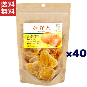 nbs[hCt[c HF hC ݂ 90g×40