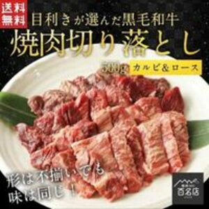  KENYA ؂藎Ƃ ē 500g A4 EA5N јa Mtg 蕨 
