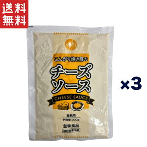  TςN[|zz!!nHi 񂪂Ăڂ̃`[Y\[X 300g × 3܃Zbg Ɩp Z`[Y sUEO^Eno[O