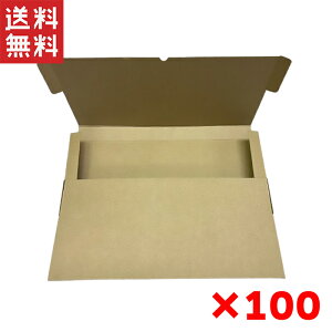 [֑Ή P[Xn 100  3cmΉ (308mm×224mm×28mm) t}TCgp lR|X _{[ A4TCY i{[ _{[ i{[  䂤pPbg  NbN|Xg  